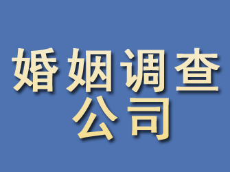 环江婚姻调查公司